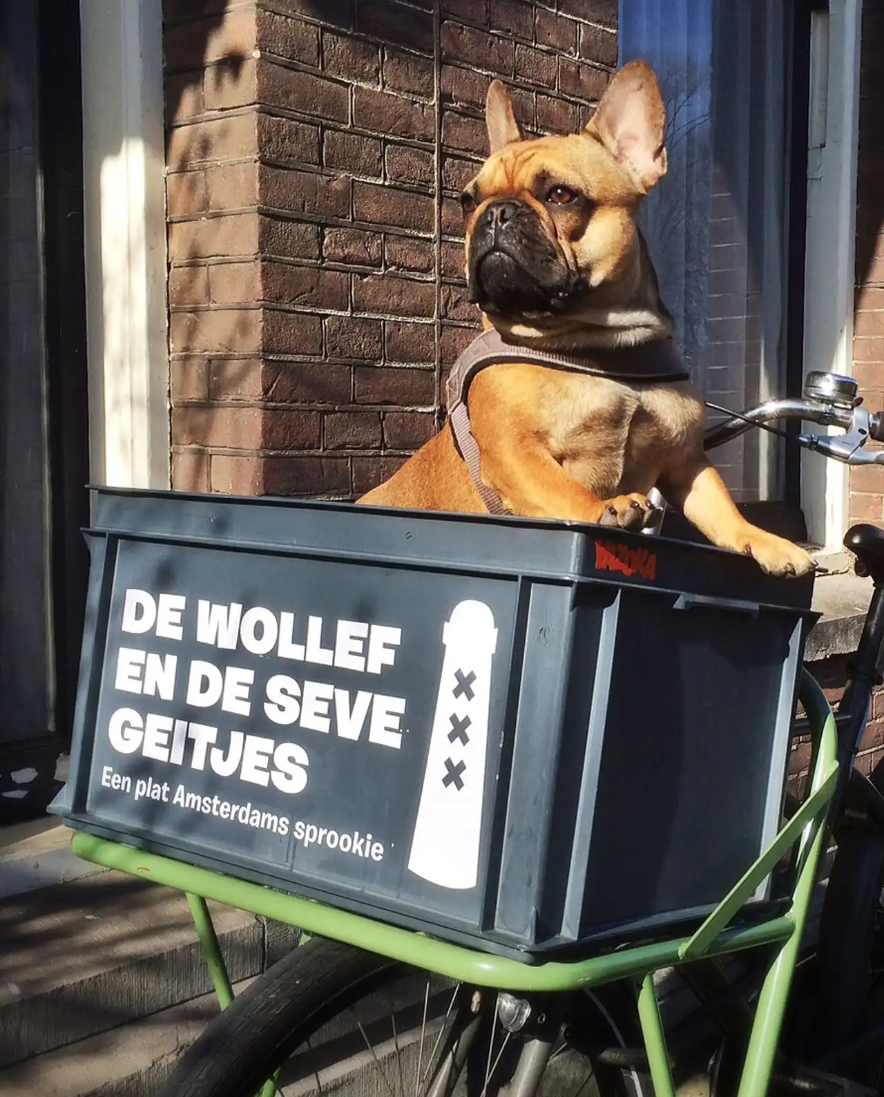 Juno in 't bakkie